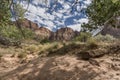 Rock Structure and trees Zion National Park Royalty Free Stock Photo